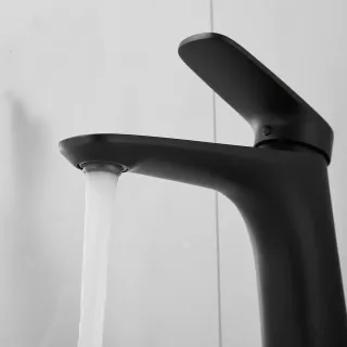 Смеситель для раковины Shevanik S8501H чёрный